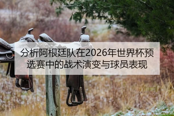 分析阿根廷队在2026年世界杯预选赛中的战术演变与球员表现
