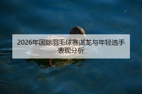 2026年国际羽毛球赛谌龙与年轻选手表现分析